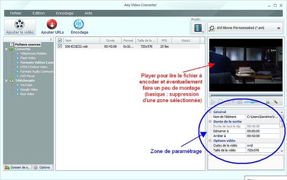 Any Video Converter - Zone de paramtrage